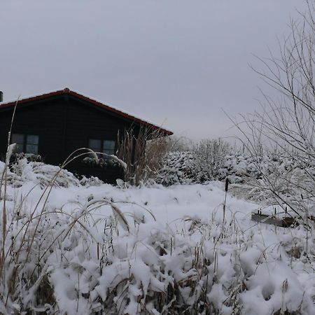 Ferienhaus Hohenlubast Grafenhainichen Exteriér fotografie