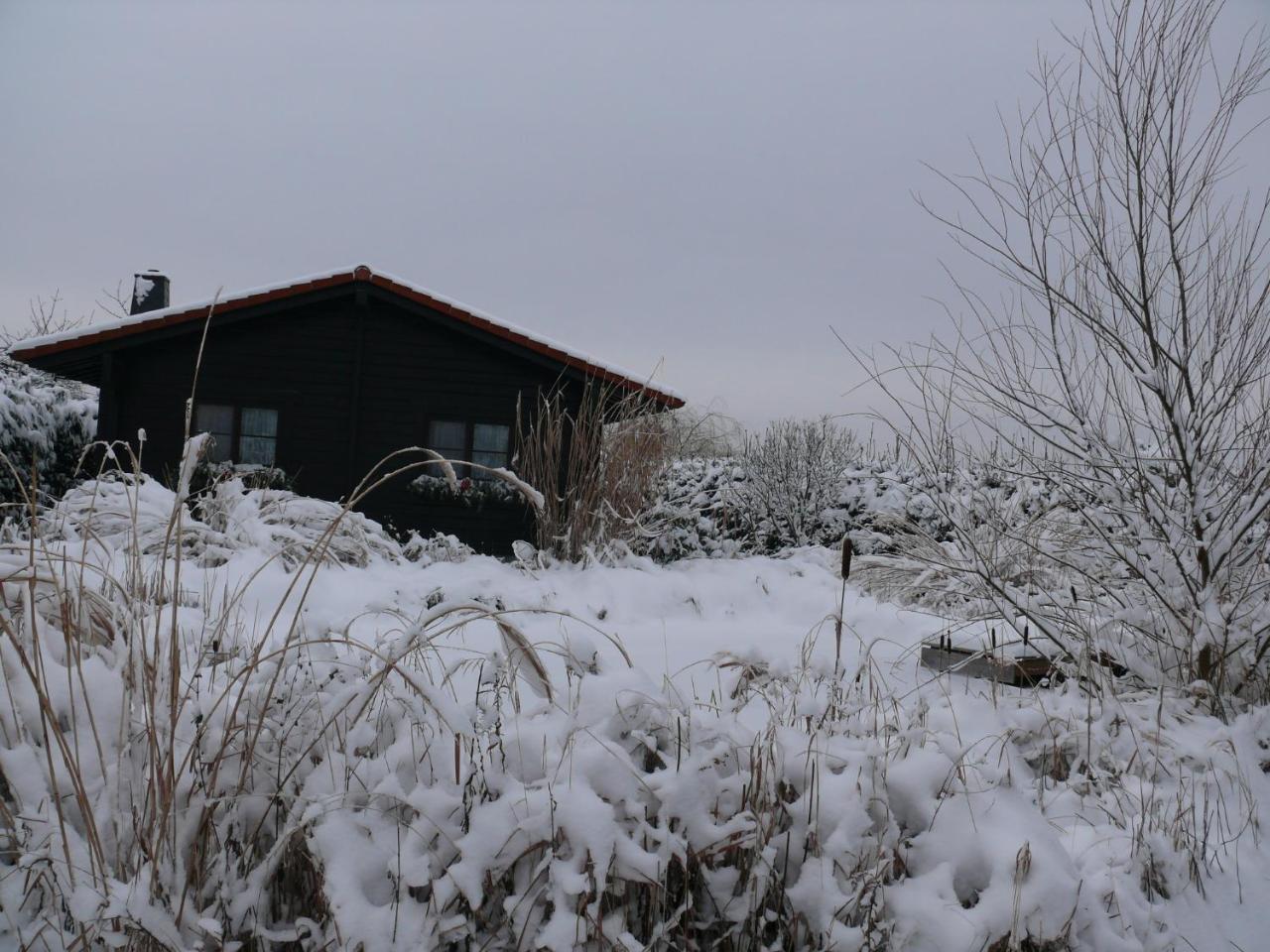 Ferienhaus Hohenlubast Grafenhainichen Exteriér fotografie